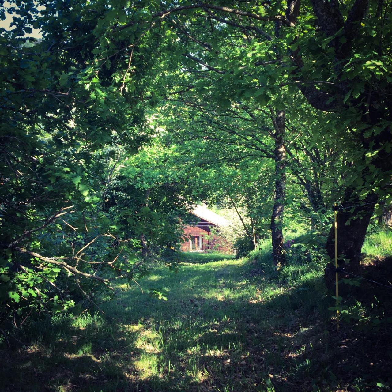Silver Trees - Glamping Fresse-sur-Moselle Dış mekan fotoğraf